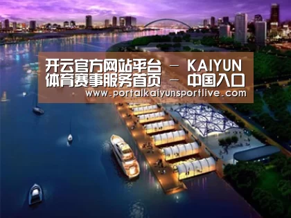 案例展示八