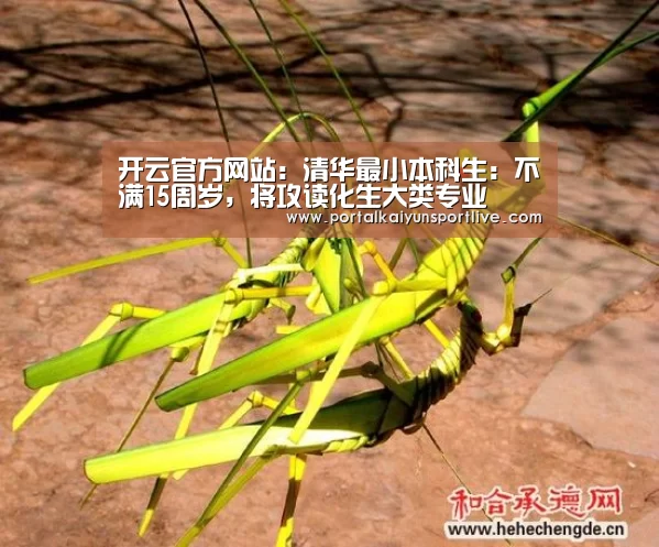 开云官方网站:清华最小本科生:不满15周岁,将攻读化生大类专业(图1) 开云即时比分