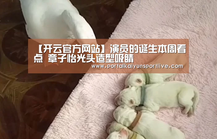 开云体育官网